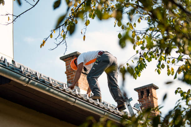 Best Storm Damage Roof Repair  in River Falls, WI